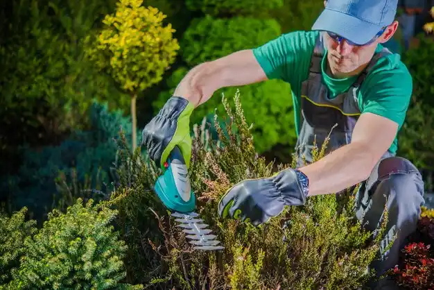 landscaping services Wampsville